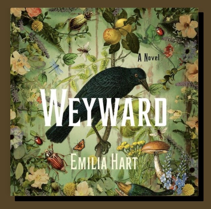 Wayward book cover