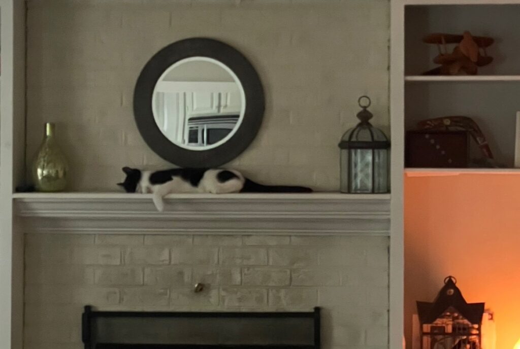 Black and white cat sleeping on a fireplace mantle 