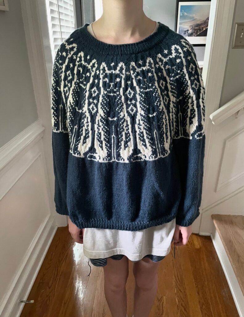 Blue sweater with white knit cats