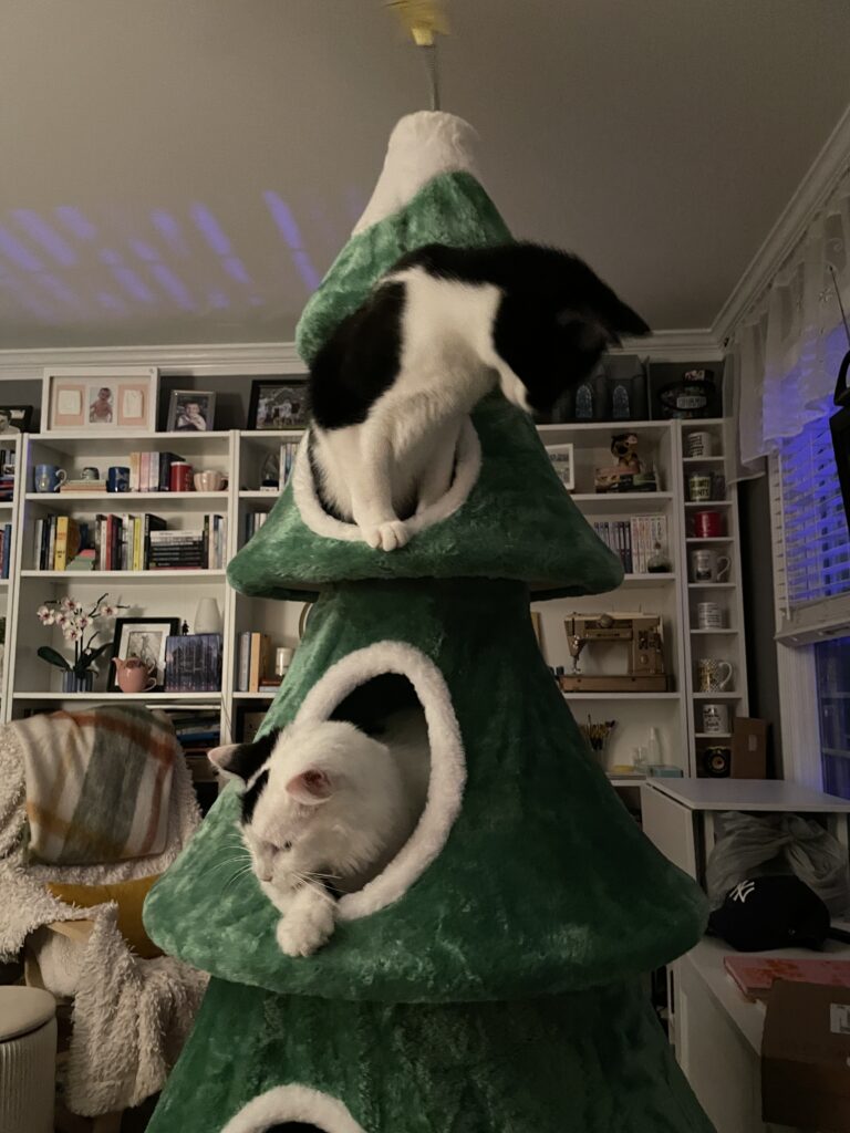 Two cats on a Christmas Tree cat tree