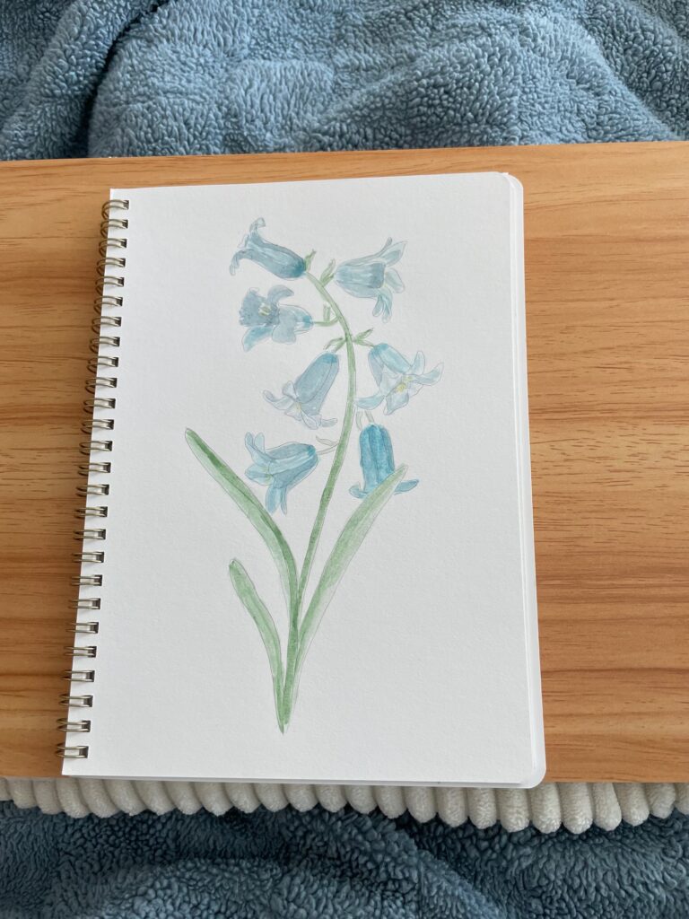 Watercolor of bluebell flowers