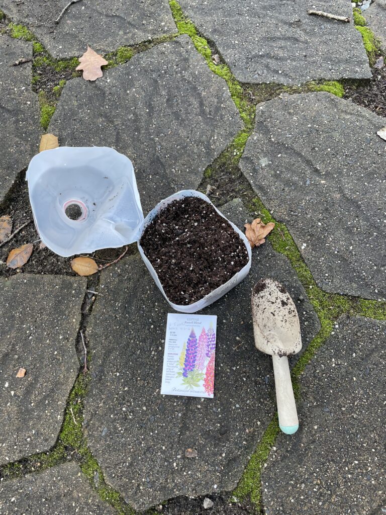A cut open milk jug half filled with soil on some paver stones. There is also a packet of seeds and small shovel.
